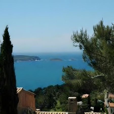Beau T3 Au Mont Des Oiseaux Apartment Hyeres Exterior photo